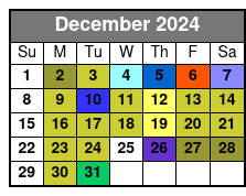 Ultimate Manhattan Sightseeing December Schedule