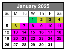 Ultimate Manhattan Sightseeing January Schedule