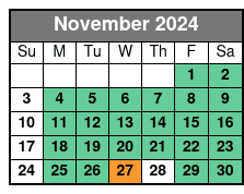 Manhattan, Brooklyn and Staten November Schedule