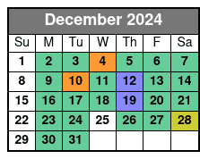 Manhattan, Brooklyn and Staten December Schedule