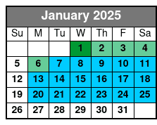 Manhattan, Brooklyn and Staten January Schedule