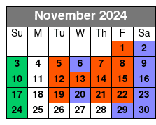 Central Orchestra November Schedule