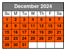 Classic Tour - 45 Min December Schedule