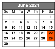 Harlem Saturday Gospel/Brunch June Schedule