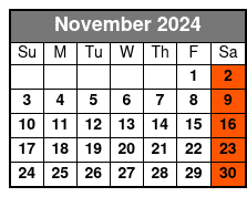 Harlem Saturday Gospel/Brunch November Schedule