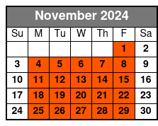 Upper and Lower Manhattan Arcol Travel November Schedule