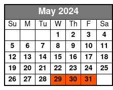 7-Days Electric Bike Rental May Schedule