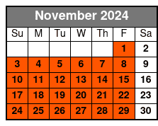 7-Days Electric Bike Rental November Schedule