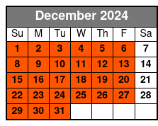 7-Days Electric Bike Rental December Schedule