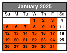 7-Days Electric Bike Rental January Schedule