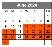 911 Tour & 1 World Observation June Schedule