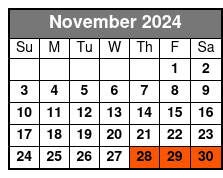 Dyker Heights De November Schedule