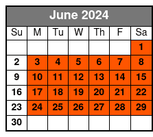 Tour of New York in Italian June Schedule