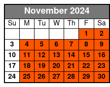 Tour of New York in Italian November Schedule