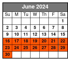 All Day E-Bike Rental NYC June Schedule