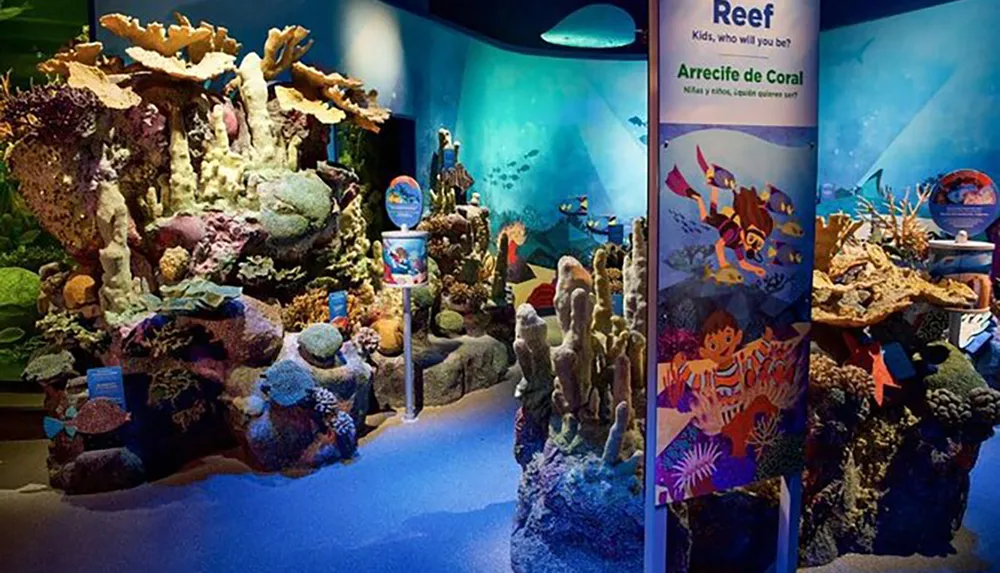 The image shows an educational exhibit with colorful coral reef models and informational signs designed to engage and teach children about marine ecosystems