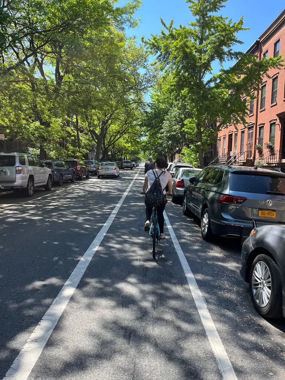 A person is cycling down a tree-lined street with parallel parked cars on a sunny day