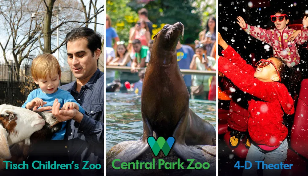 The image is a collage featuring three separate scenes a child and an adult interacting with a goat at Tisch Childrens Zoo a sea lion performing at the Central Park Zoo and two individuals enjoying a simulated snow experience at a 4-D Theater