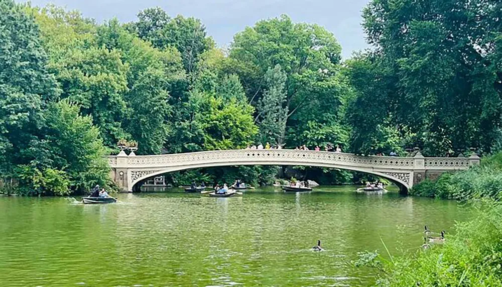 A scenic view of a tranquil lake with people rowing boats and a decorative bridge surrounded by lush greenery under a cloudy sky