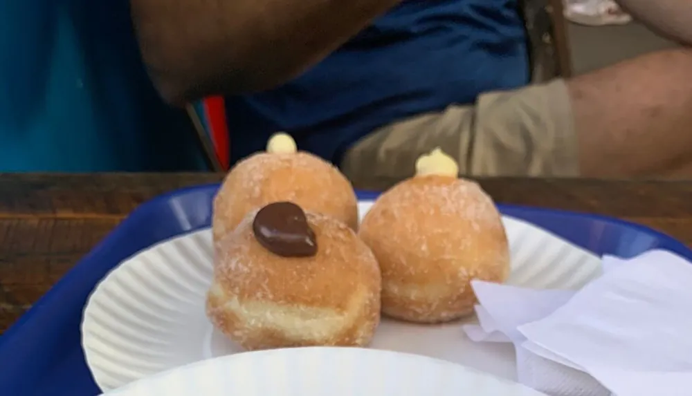 Three cream-filled doughnuts decorated to look like cute characters are served on a paper plate