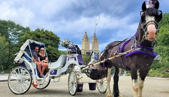 Central Park Horse & Carriage Ride Photo