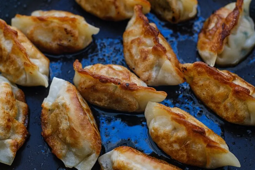 The image shows a pan-fried batch of golden-brown dumplings with crispy edges