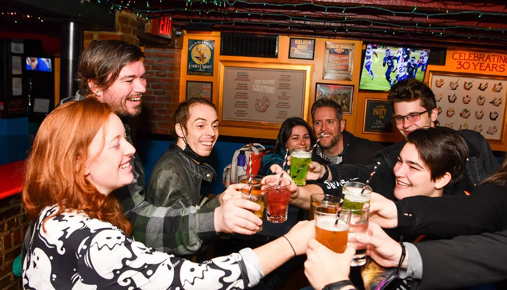 A group of cheerful people are toasting with drinks in a cozy bar with sports playing on a TV in the background