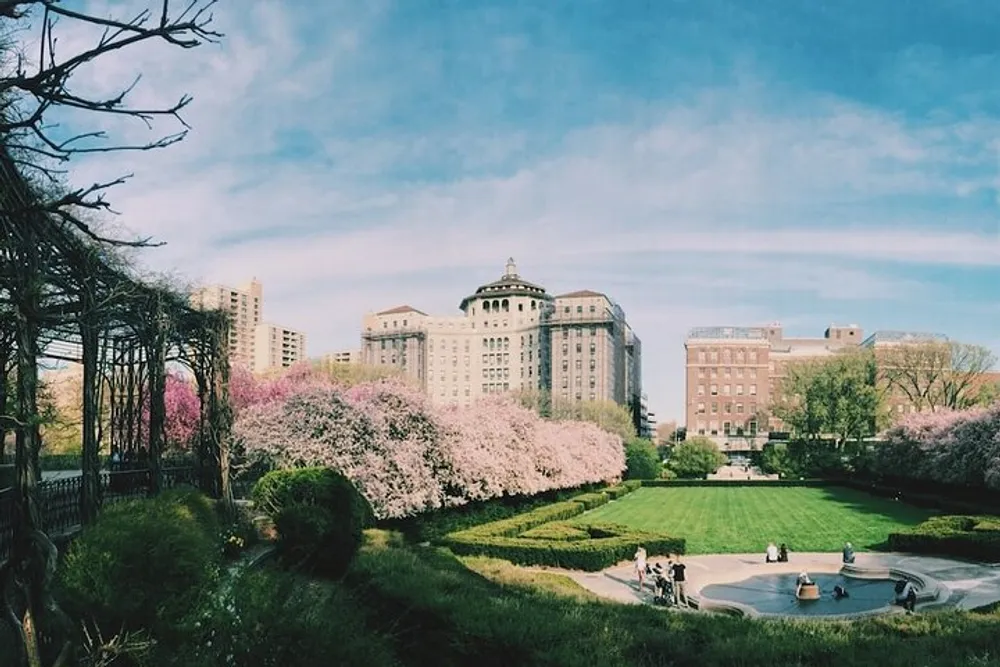 The image features a scenic urban park in springtime with blossoming pink trees people enjoying the outdoors and classic architecture in the background under a blue sky