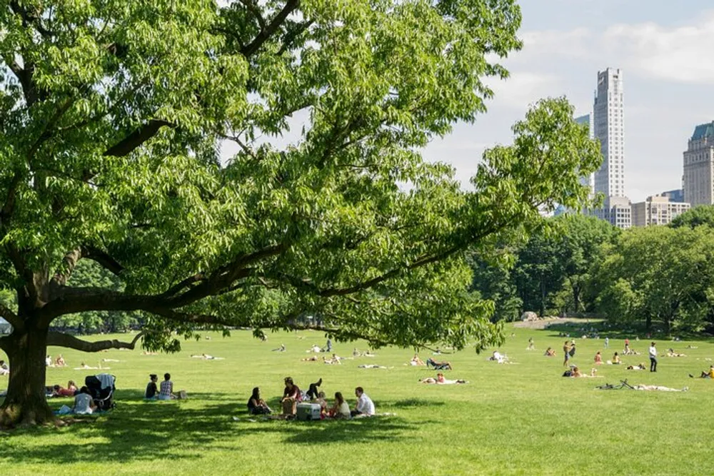 People are enjoying a sunny day in a lush green park with the backdrop of city skyscrapers