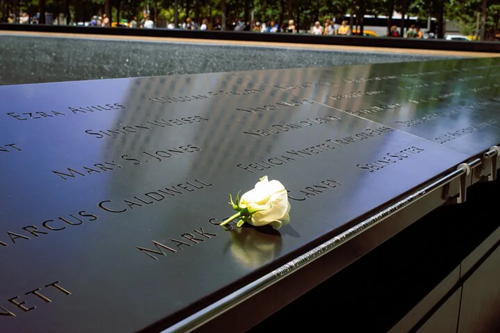 A single white rose lies atop the reflective black surface of a memorial engraved with names symbolizing remembrance and honor