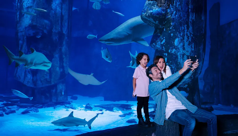 A family takes a selfie with sharks swimming in the background inside an aquarium