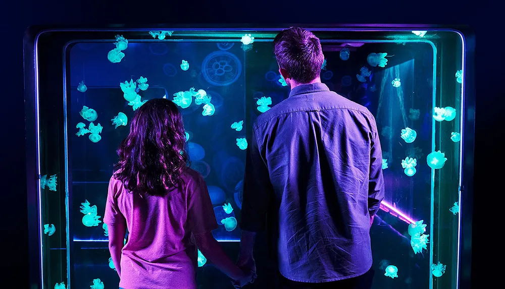 Two people are holding hands while observing glowing jellyfish in an aquarium illuminated with blue light