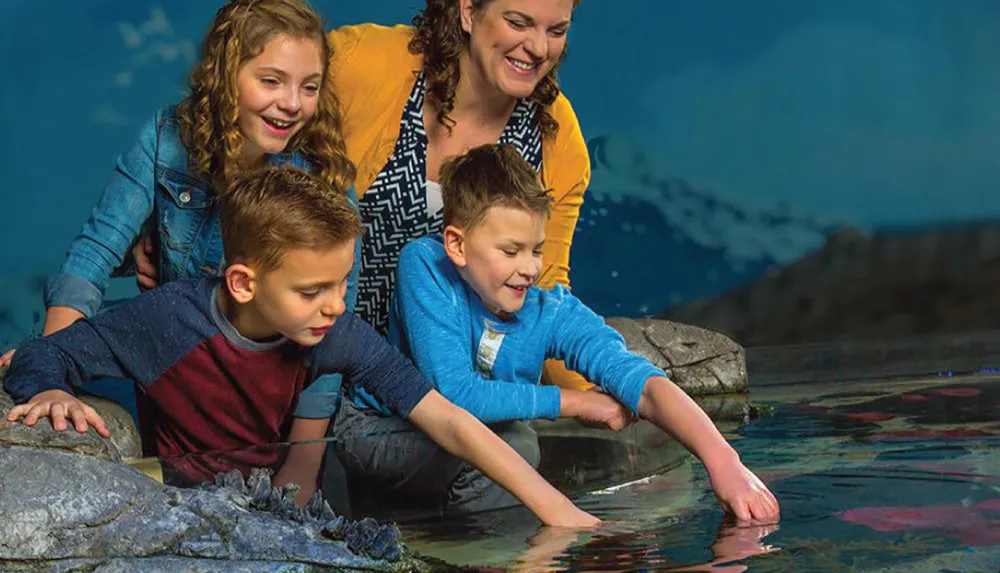 A family with three kids and an adult are seen enjoying an interactive experience at an aquariums touch pool