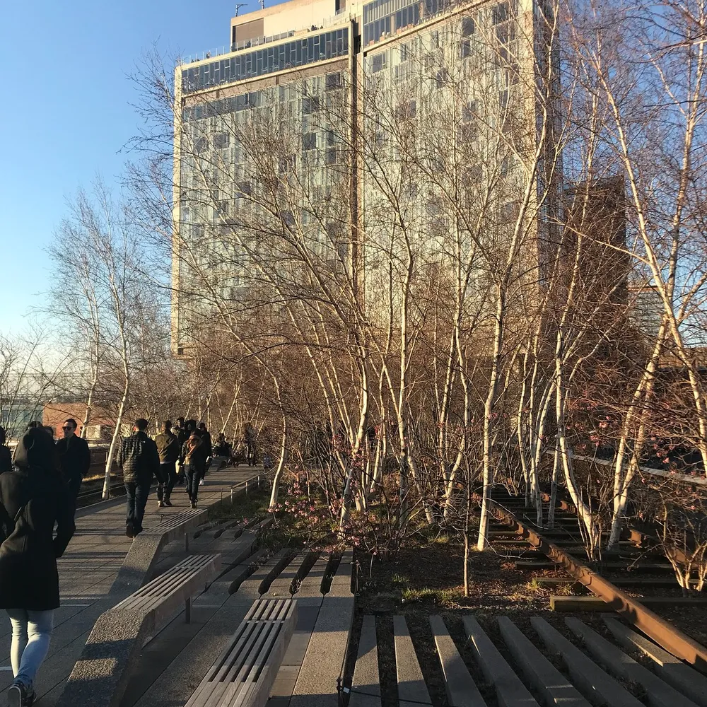 People are walking along a tree-lined pathway near modern buildings bathed in sunlight with benches available for seating