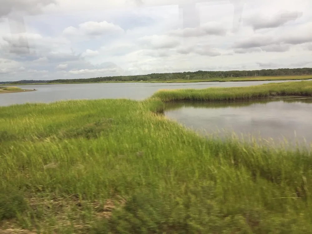 The image captures a serene view of a marshland with vibrant green grasses and a calm body of water possibly taken from a moving vehicle given the blurriness in the foreground