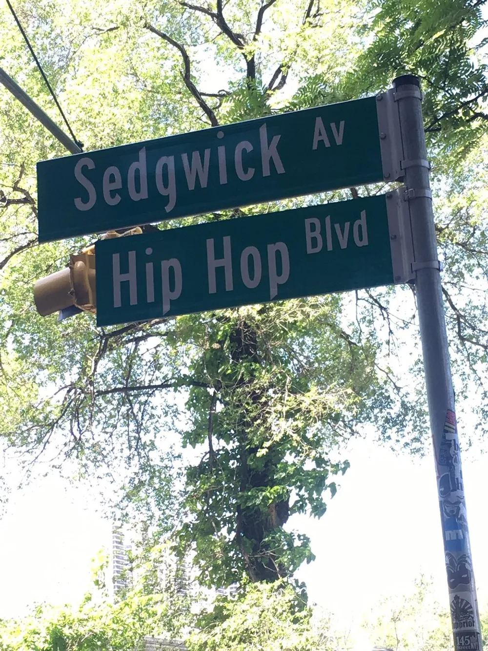 The image shows street signs at an intersection for Sedgwick Av and Hip Hop Blvd with a green leafy background and a sunny sky