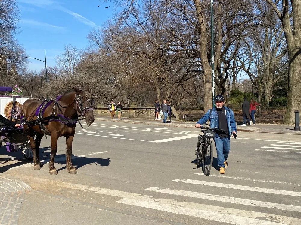 A horse-drawn carriage is stationed by the side of the road as pedestrians and a cyclist go by in an urban park setting under clear skies