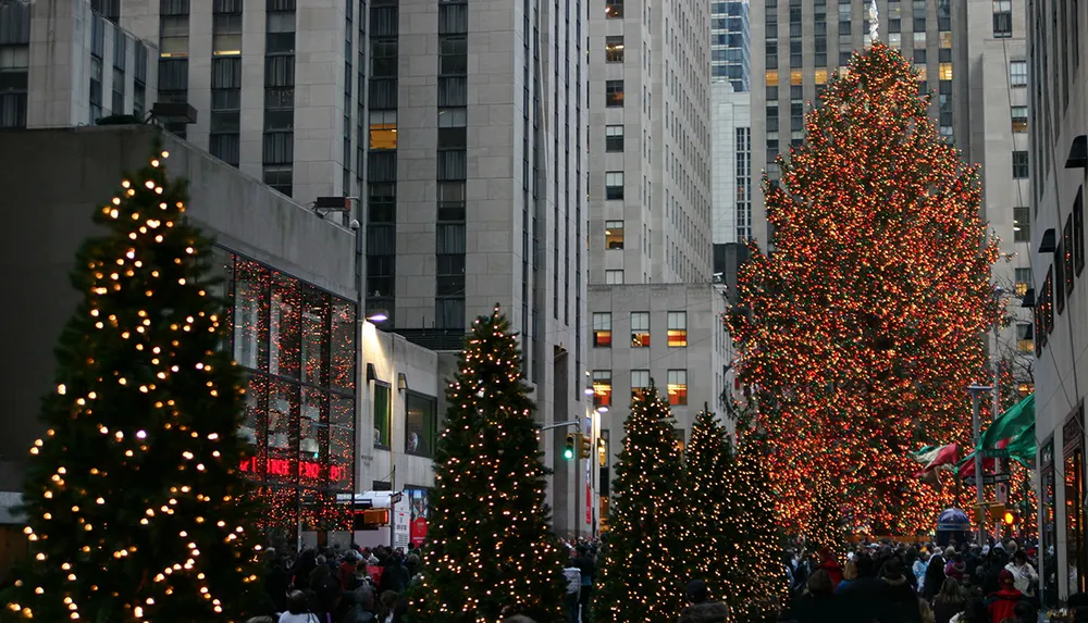 A festive scene with a large beautifully lit Christmas tree towering above a crowd of people surrounded by smaller decorated trees in what appears to be a city plaza