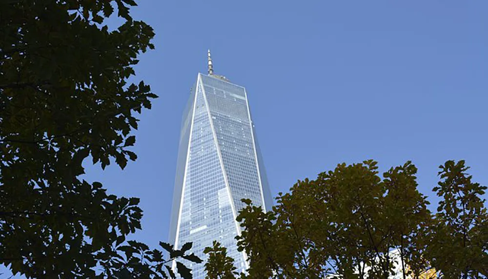 A skyscraper stretches towards the clear blue sky framed by the green foliage of nearby trees