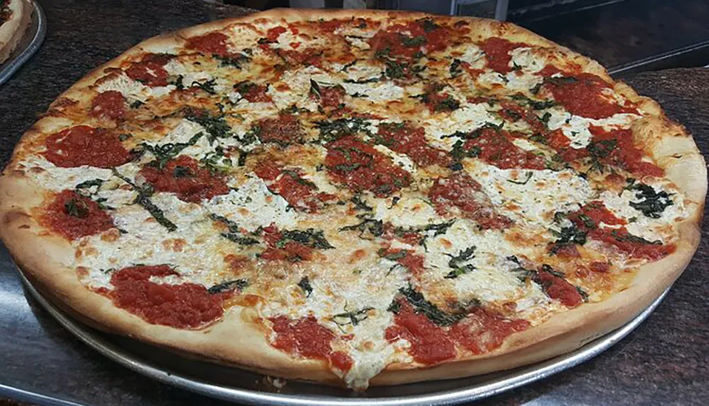 The image shows a freshly baked pizza with a golden crust melted cheese tomato sauce and scattered herbs on a metal serving tray