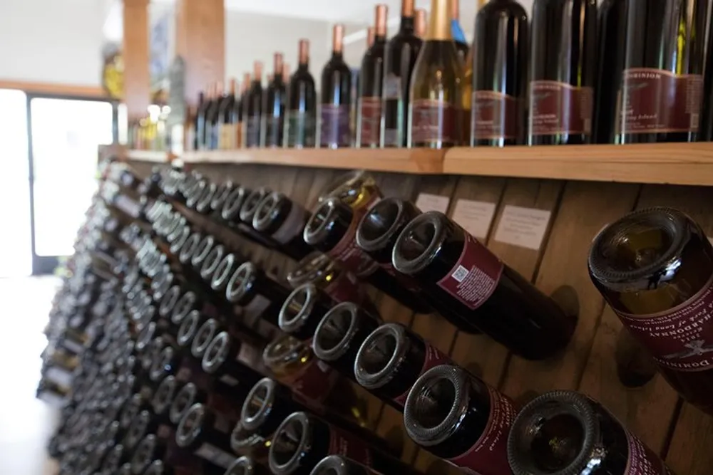 The image shows a selection of wine bottles arranged in a diagonal pattern on a wall-mounted rack with more bottles visible on shelves in the background