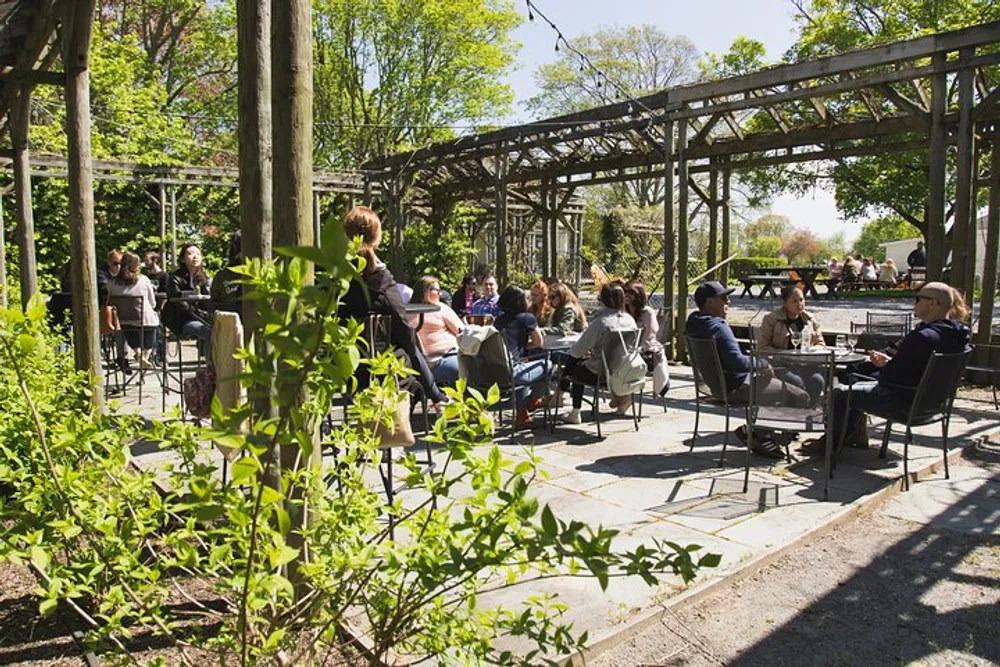 People are enjoying a sunny day at an outdoor seating area framed by a wooden pergola surrounded by greenery