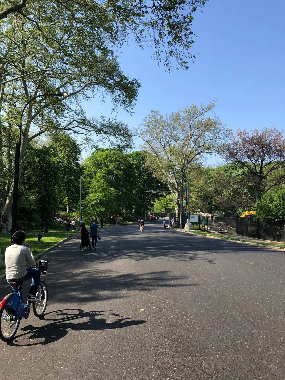 People are enjoying outdoor activities on a sunny day in a tree-lined park with a person riding a bicycle in the foreground