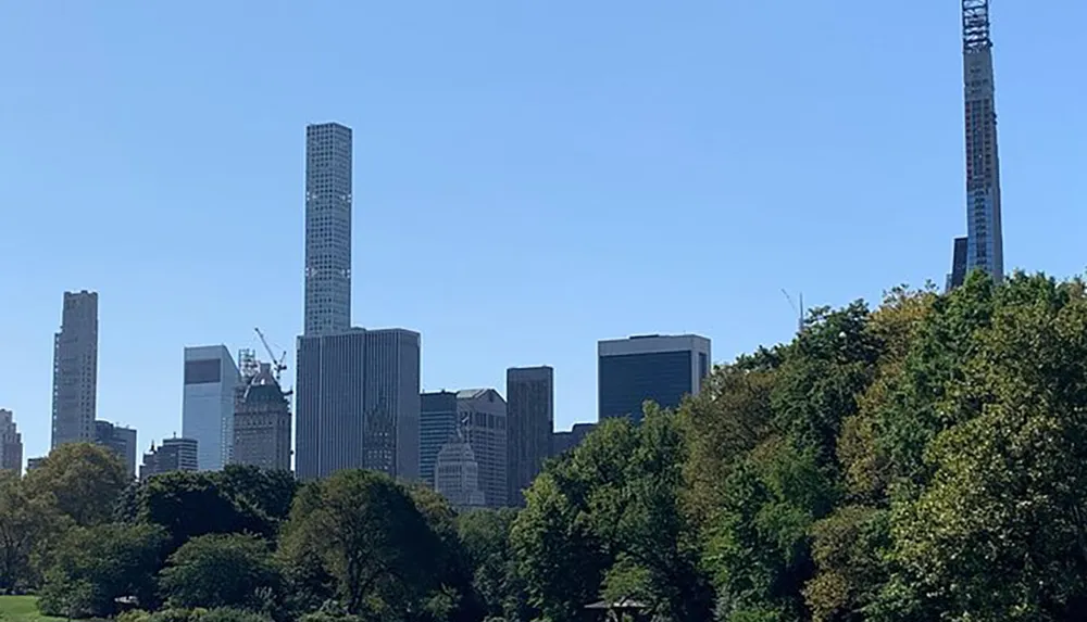 The image shows a skyline with several skyscrapers standing tall above a canopy of green trees under a clear blue sky