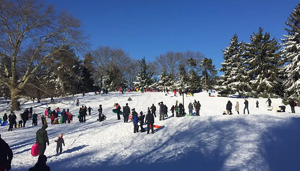 People of all ages are enjoying a sunny day of winter activities on a snow-covered hill