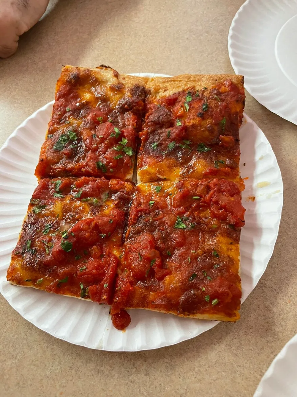 This is an image of two square slices of pizza with tomato sauce and bits of herbs resting on a white paper plate
