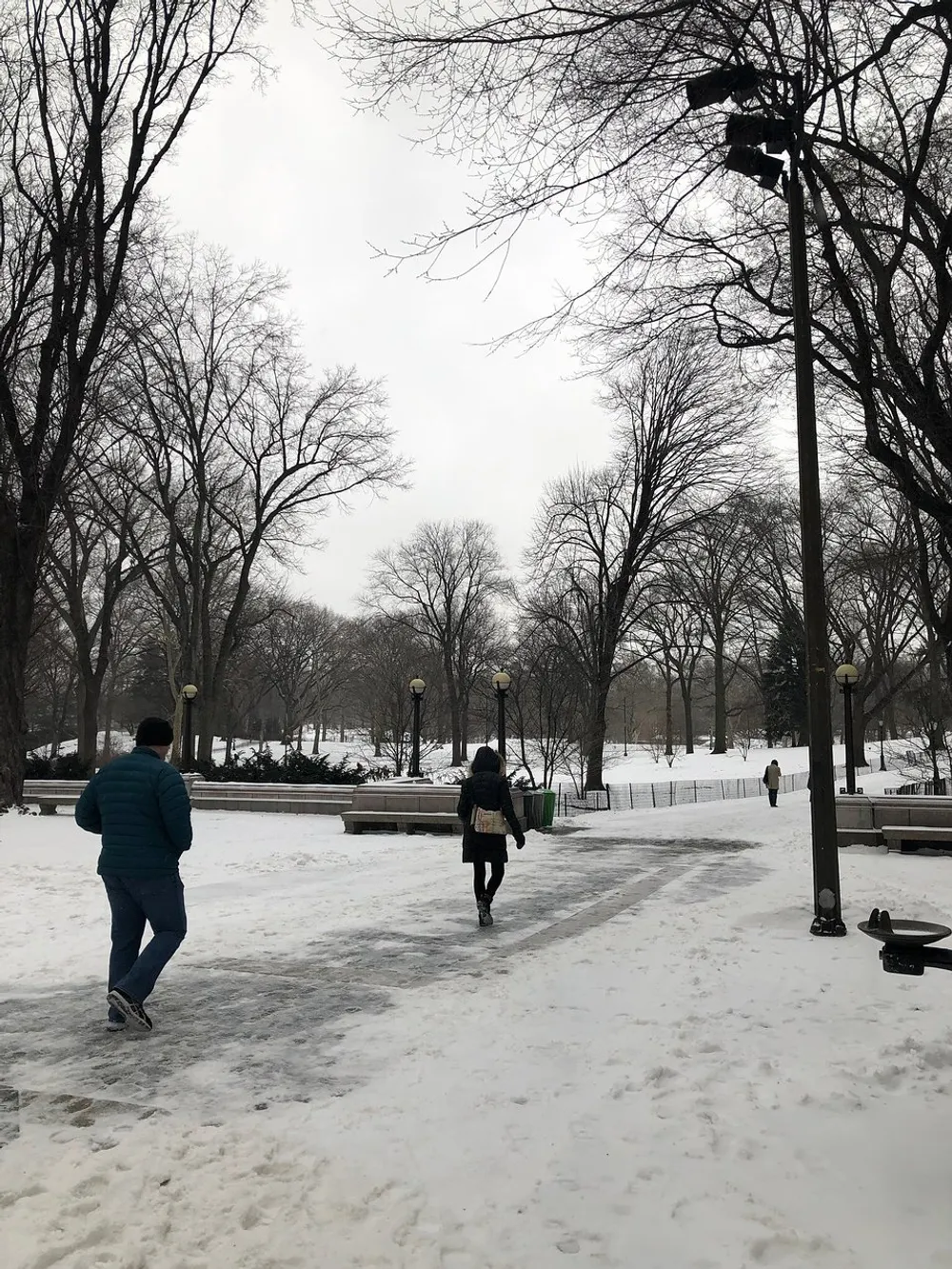 People walk through a snowy park with bare trees on an overcast day