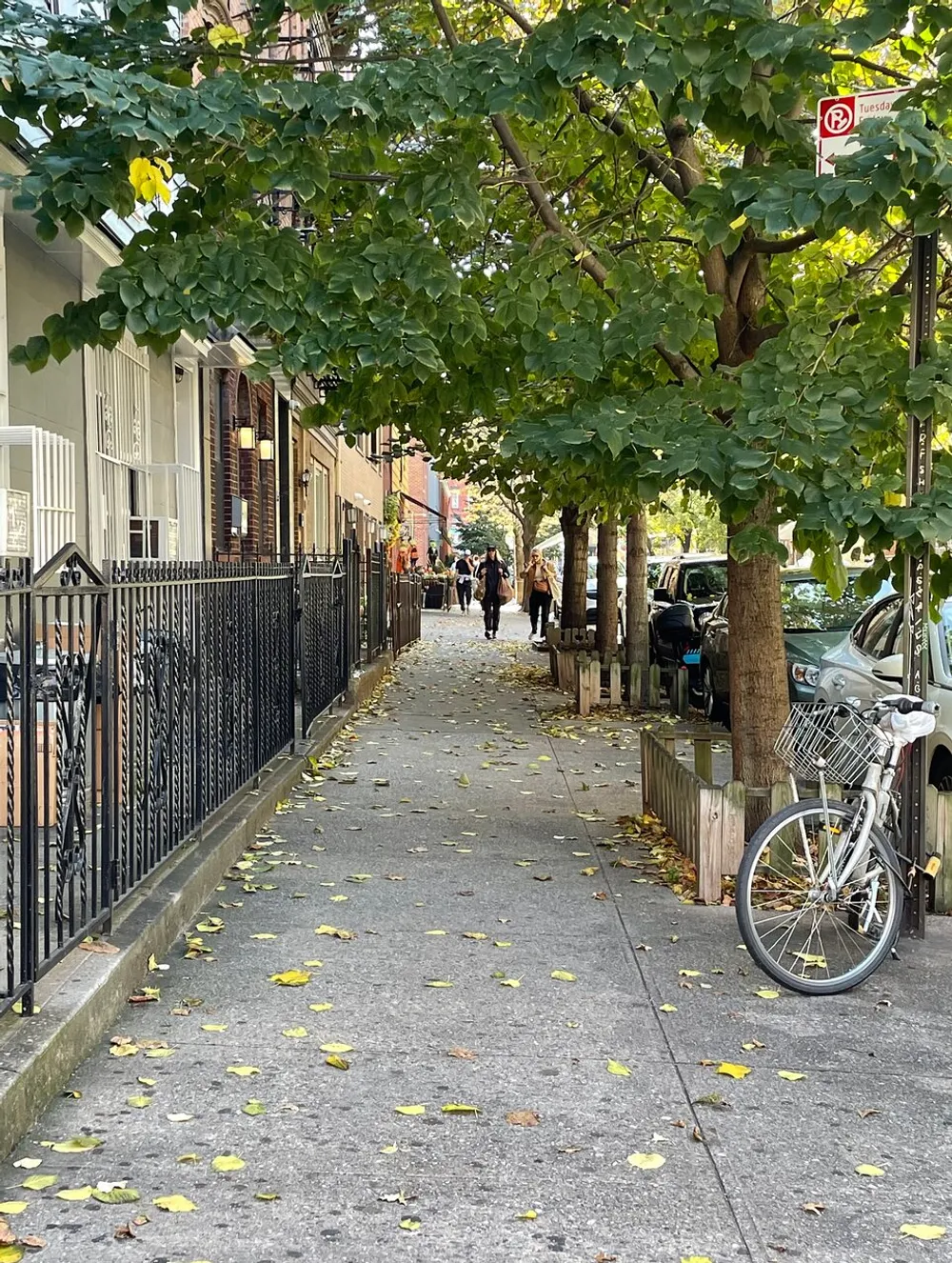 A serene urban scene with people walking down a tree-lined sidewalk dotted with fallen leaves with parked cars and a bicycle to the side
