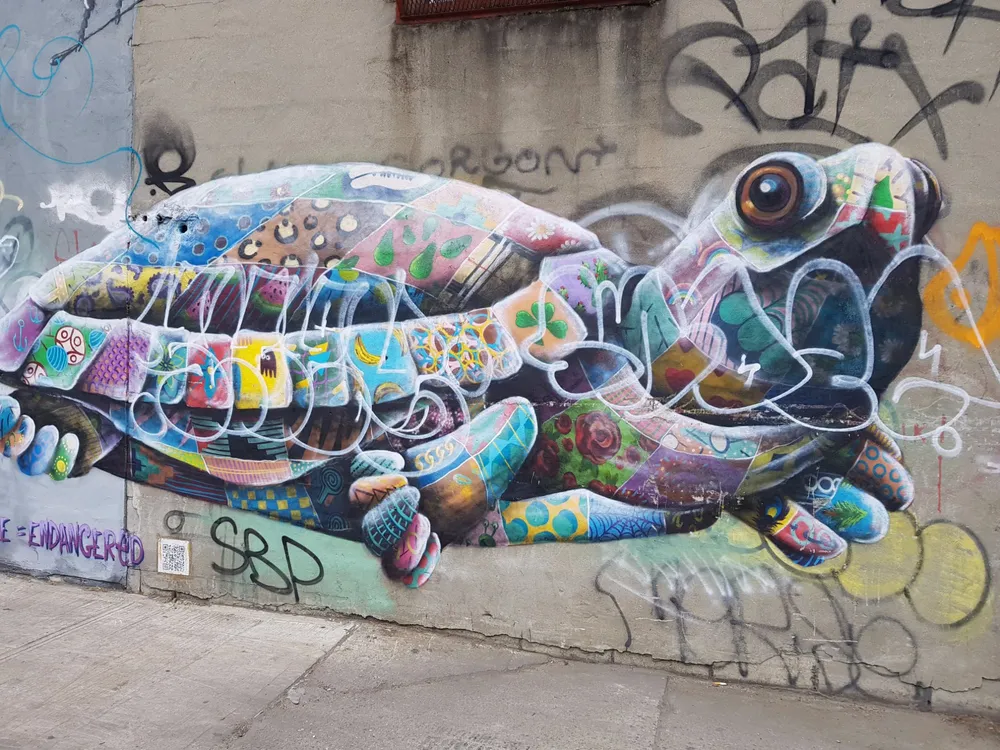 The image shows a colorful intricate graffiti mural of a chameleon on a wall overlaid with various graffiti tags and markings