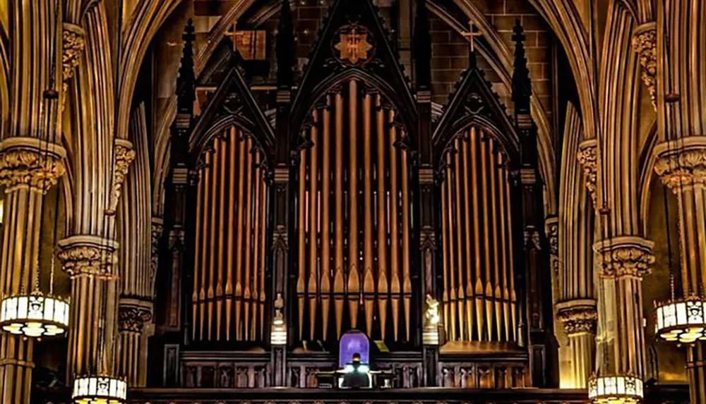The image depicts the grand and ornate pipe organ situated within the gothic architectural interior of a cathedral accentuated by the warm glow of chandeliers